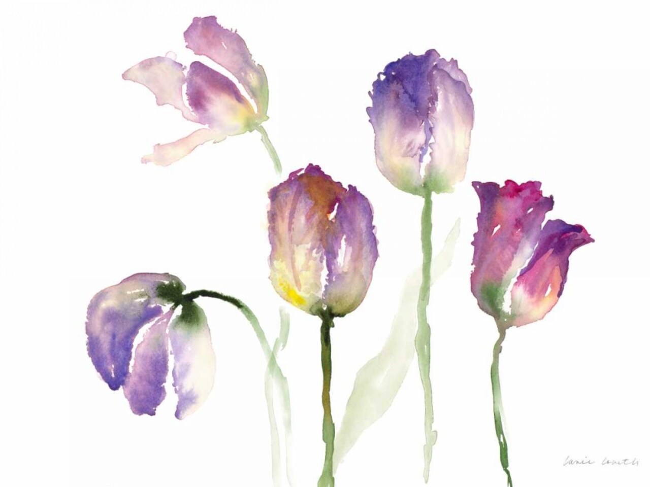 Lavender Hues Tulips II Poster Print by Lanie Loreth - Item # VARPDX12148